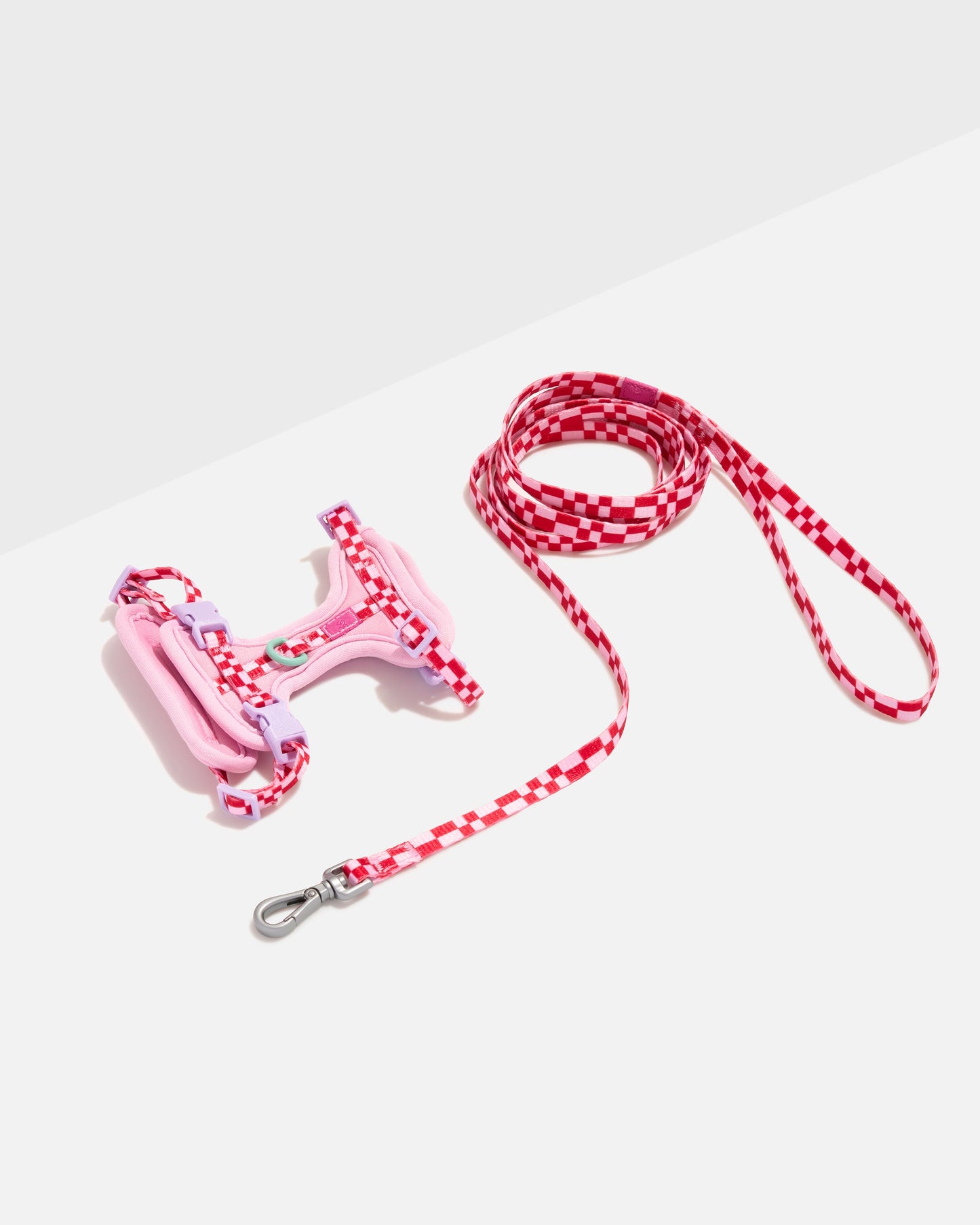 Bubblegum | Kitten Size