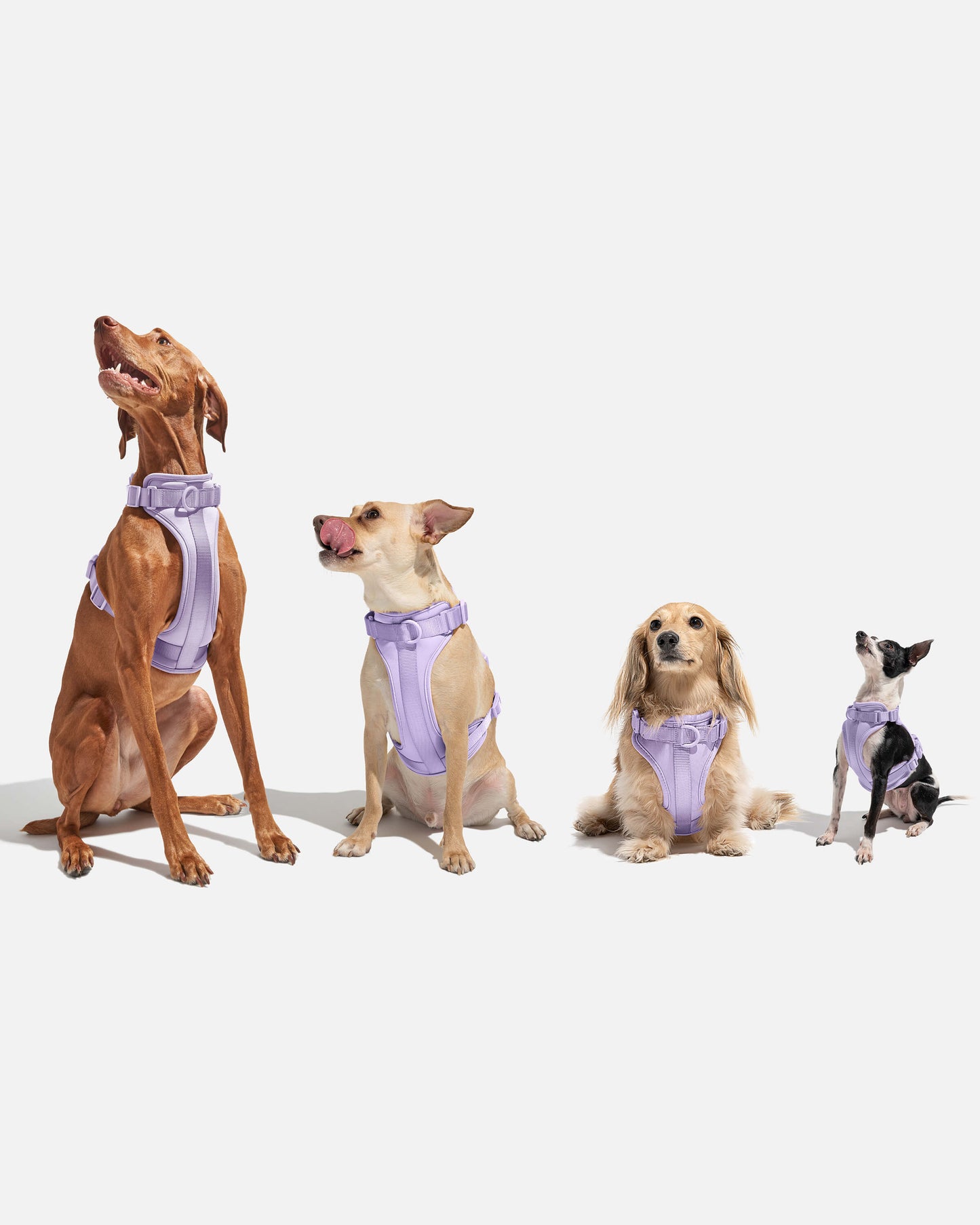 All | In between sizes? We recommend sizing up!